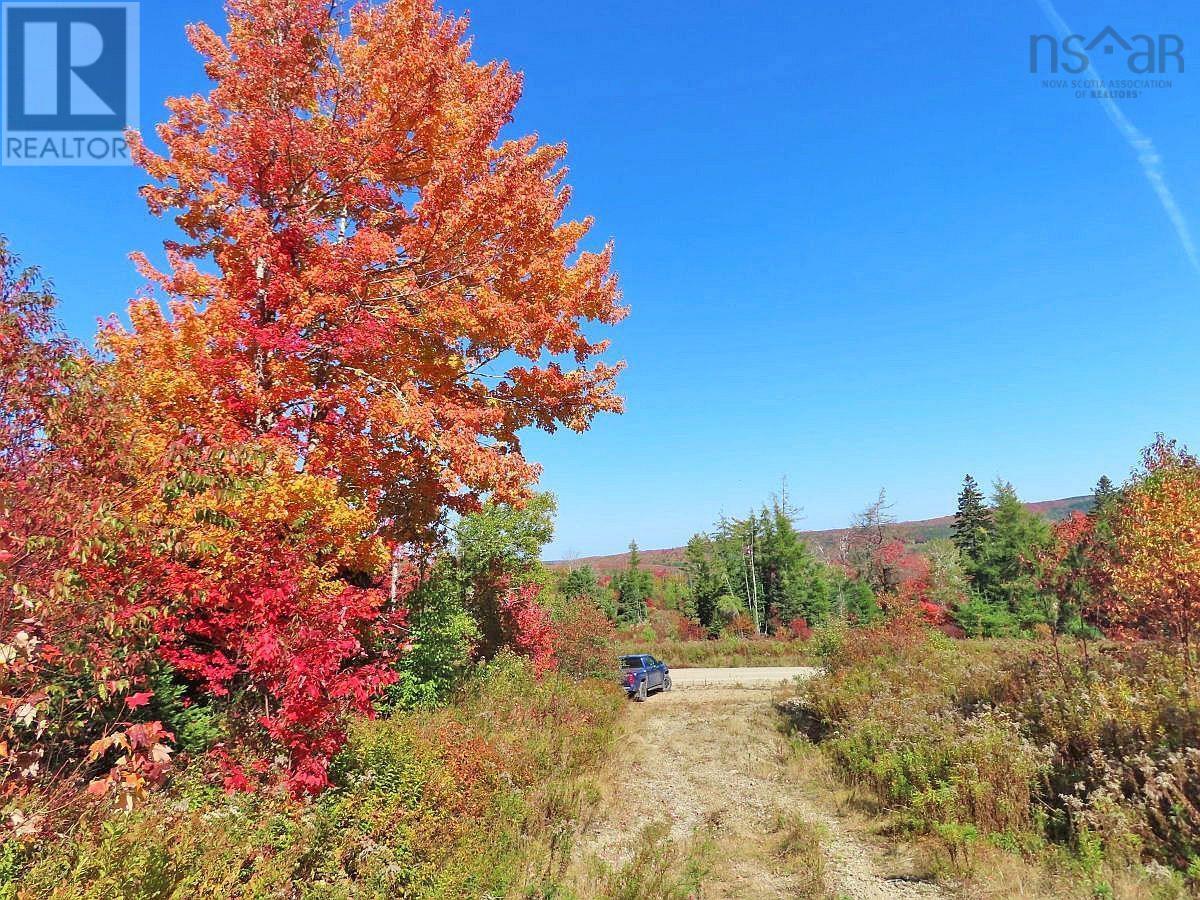 128.5 Acres West Side Road, West Side Country Harbour, Nova Scotia  B0H 1J0 - Photo 7 - 202608623