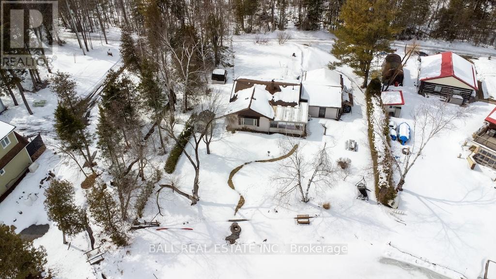 2137 Chipmunk Road, Douro-Dummer, Ontario  K0L 2H0 - Photo 30 - X12924610