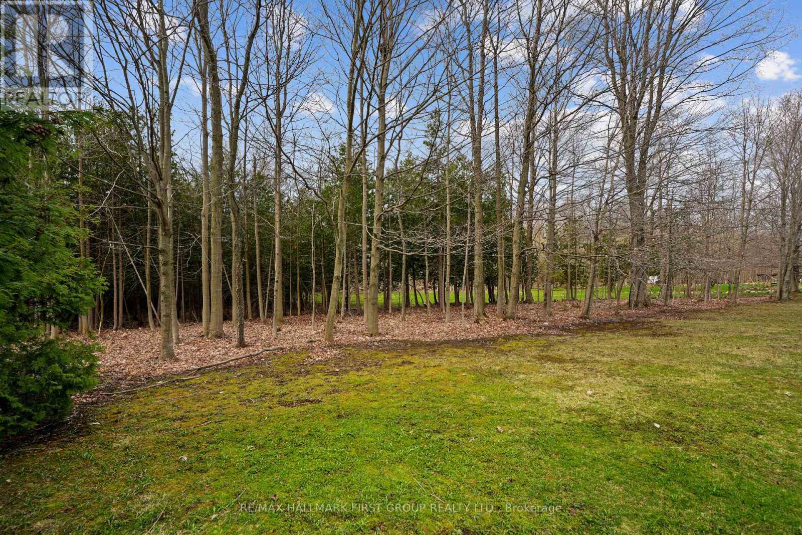 426 Gully Road, Alnwick/haldimand, Ontario  K9A 4J8 - Photo 6 - X12718874