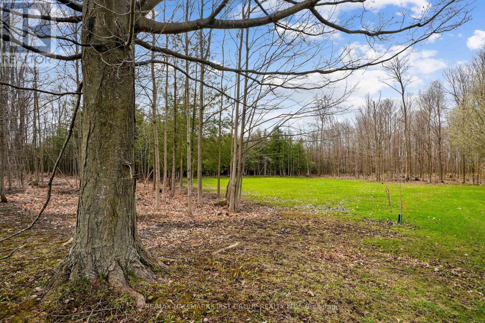 426 Gully Road, Alnwick/haldimand, Ontario  K9A 4J8 - Photo 5 - X12718874