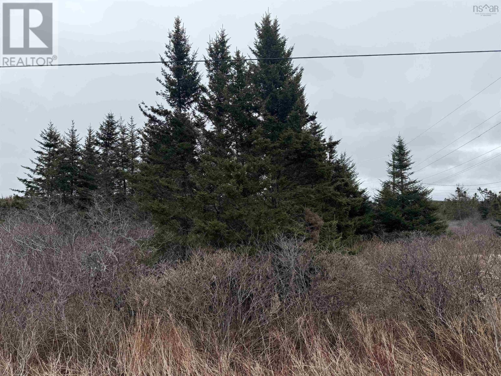 Georges Road, Upper Whitehead, Nova Scotia  B0H 1T0 - Photo 4 - 202509404