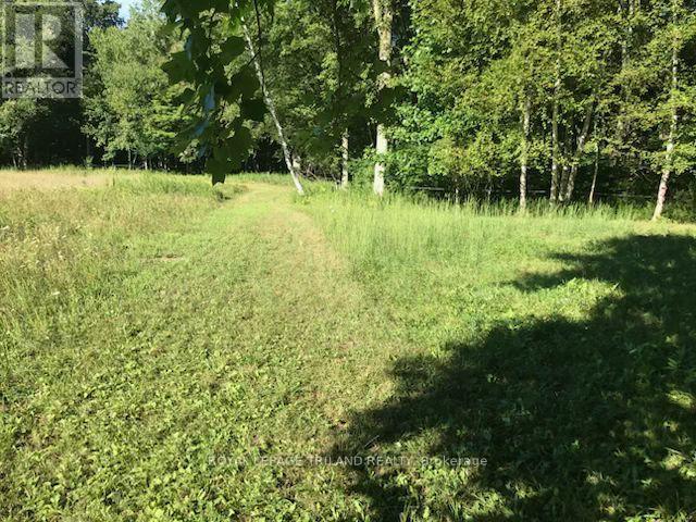 24909 Queens Line, West Elgin, Ontario  N0L 2P0 - Photo 38 - X13041916
