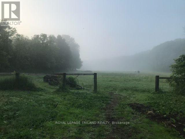 24909 Queens Line, West Elgin, Ontario  N0L 2P0 - Photo 40 - X13041916