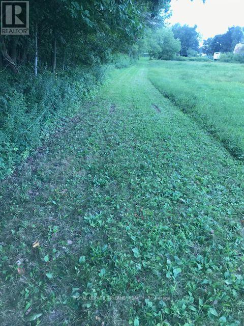 24909 Queens Line, West Elgin, Ontario  N0L 2P0 - Photo 39 - X13041916