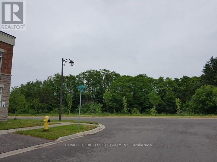 28 Black Locust Drive, Markham, Ontario  L6E 0P8 - Photo 14 - N13045640