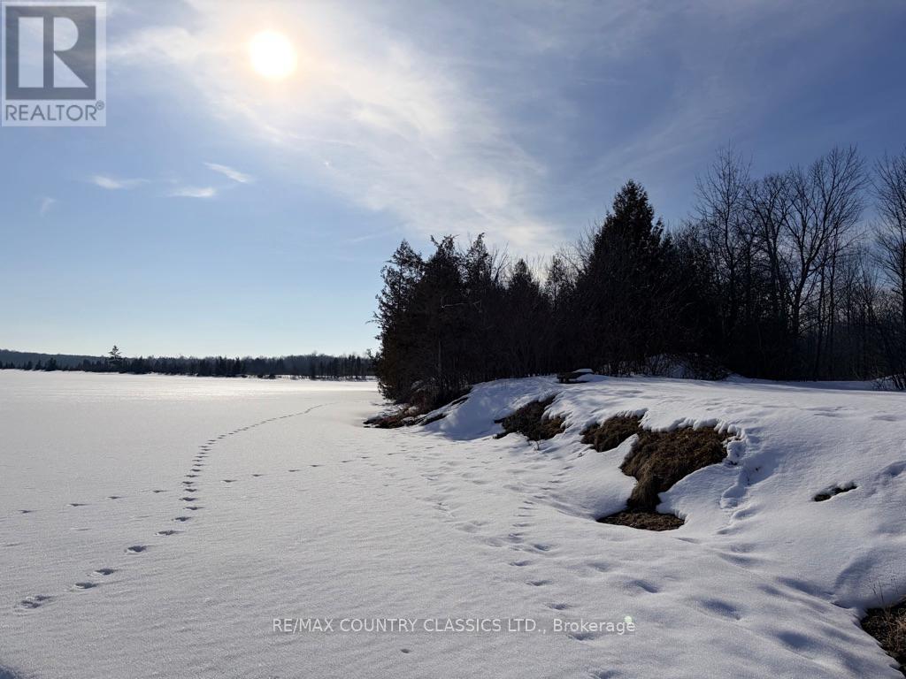 4166 Marlbank Road, Tweed, Ontario  K0K 3J0 - Photo 16 - X12825890