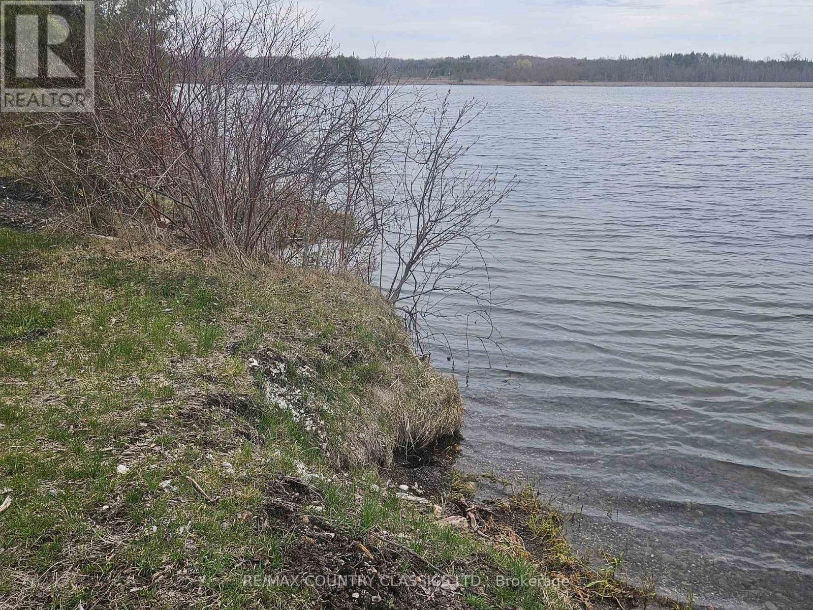 4166 Marlbank Road, Tweed, Ontario  K0K 3J0 - Photo 3 - X12825890