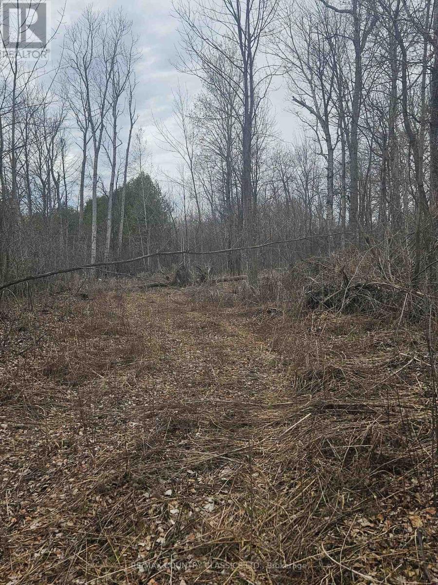 4166 Marlbank Road, Tweed, Ontario  K0K 3J0 - Photo 5 - X12825890