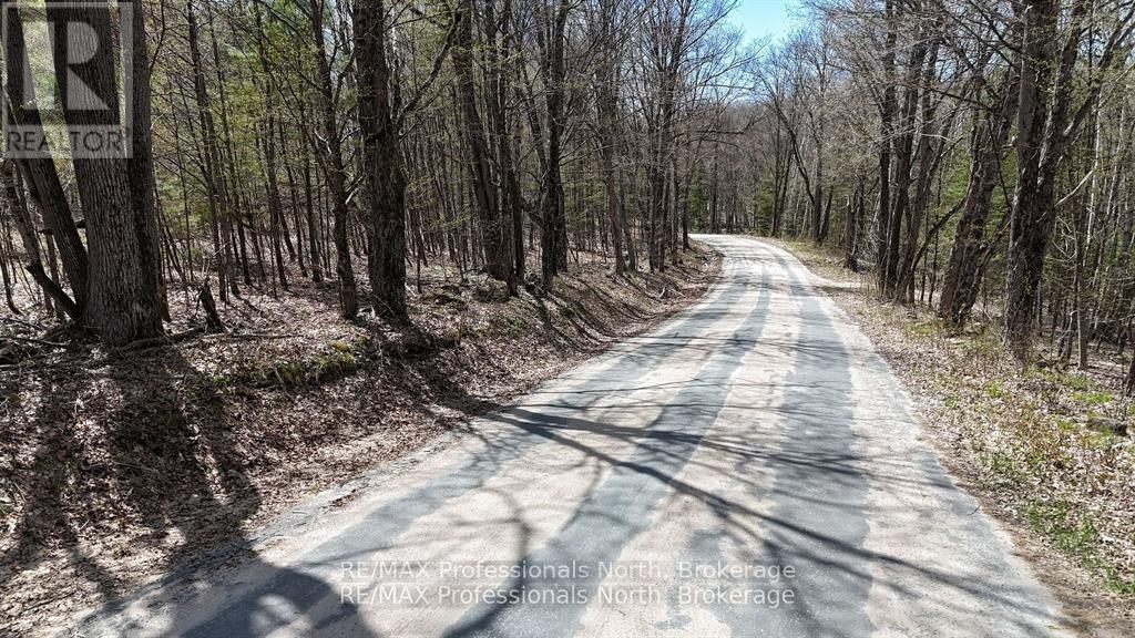 0 Osprey Road, Minden Hills, Ontario  K0M 2K0 - Photo 5 - X13045696