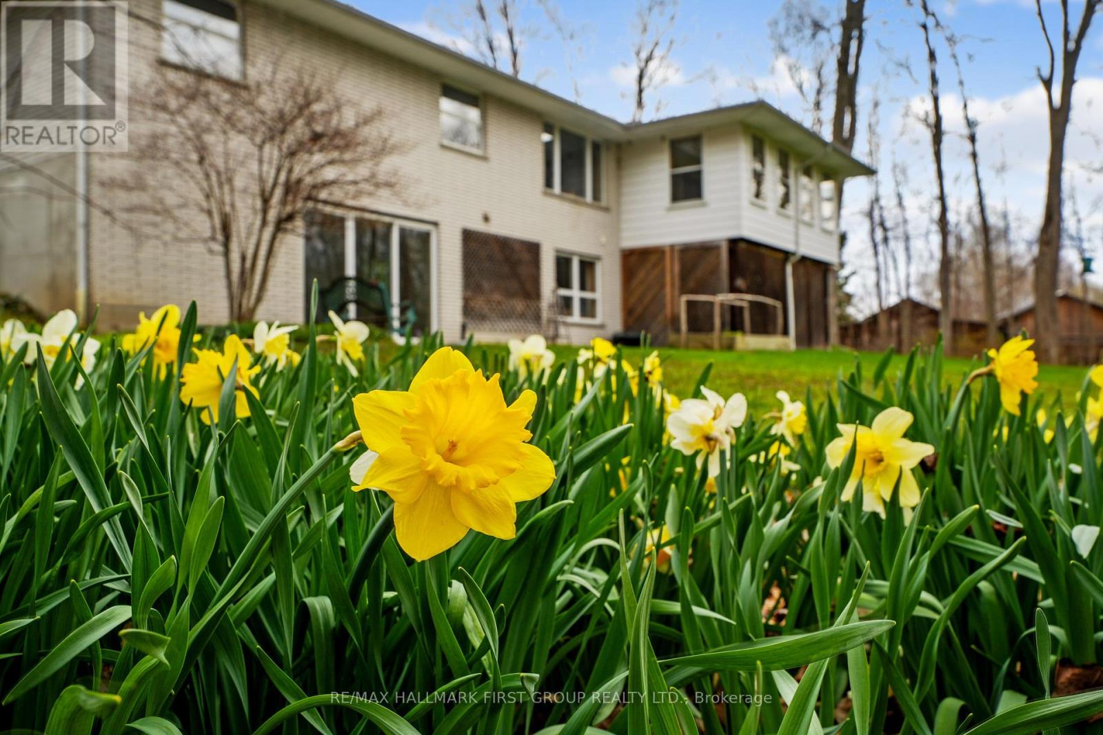 452 Gully Road, Alnwick/haldimand, Ontario  K9A 4J8 - Photo 39 - X12814926