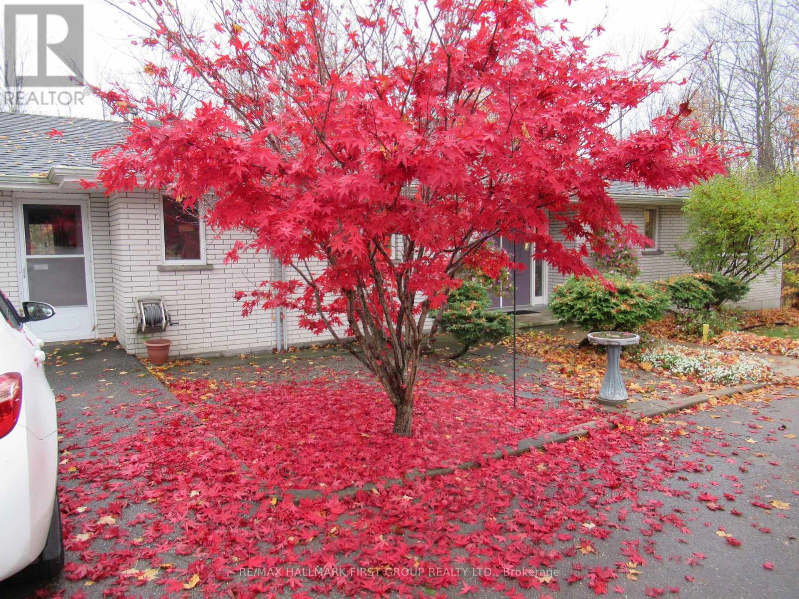 452 Gully Road, Alnwick/haldimand, Ontario  K9A 4J8 - Photo 48 - X12814926