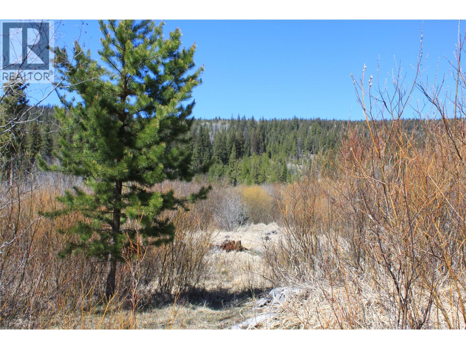 135 Secret Creek Place, Princeton, British Columbia  V0X 1W0 - Photo 11 - 10371862