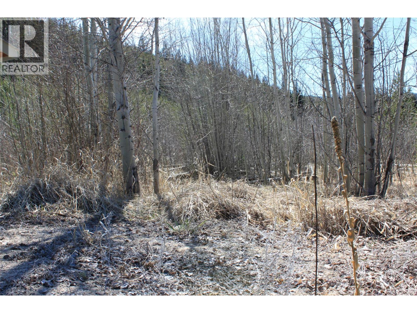 135 Secret Creek Place, Princeton, British Columbia  V0X 1W0 - Photo 15 - 10371862