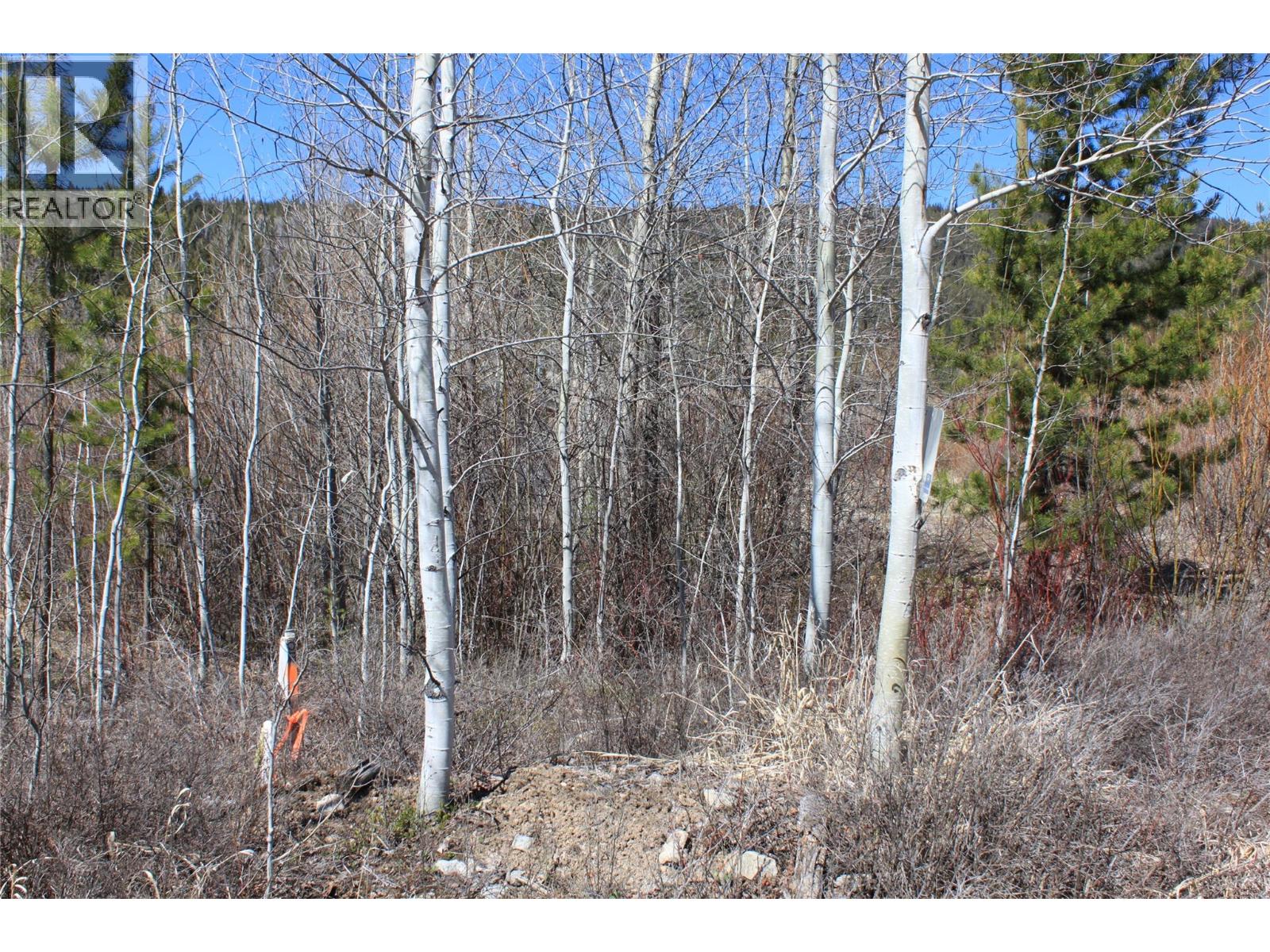 135 Secret Creek Place, Princeton, British Columbia  V0X 1W0 - Photo 5 - 10371862