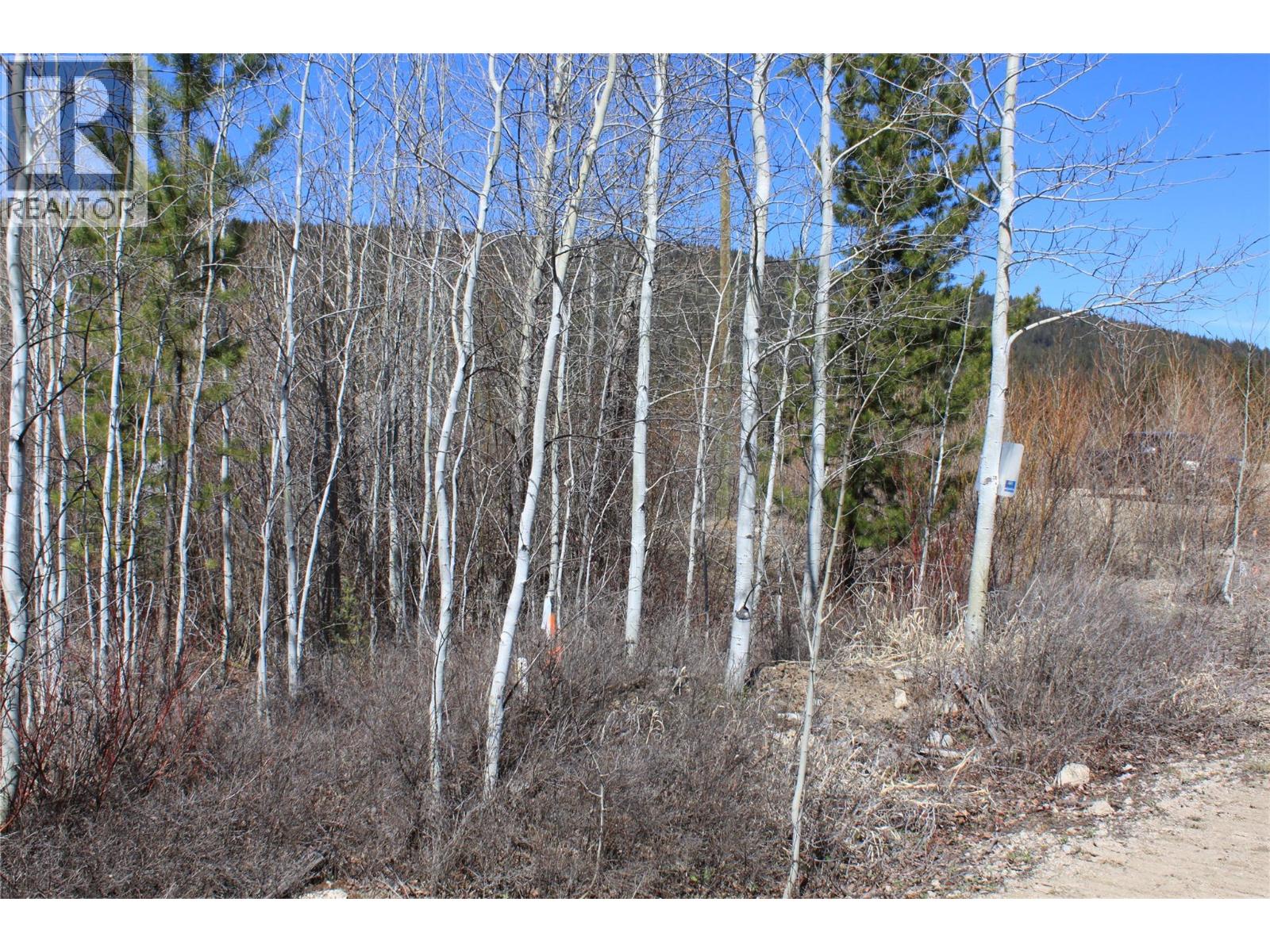 135 Secret Creek Place, Princeton, British Columbia  V0X 1W0 - Photo 6 - 10371862