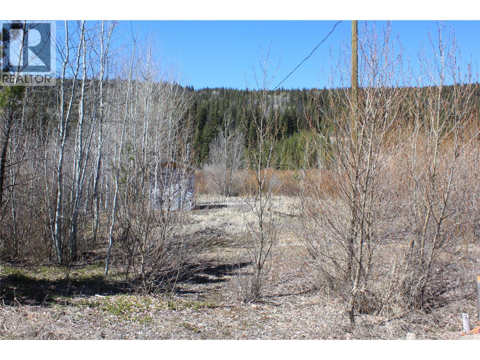 135 Secret Creek Place, Princeton, British Columbia  V0X 1W0 - Photo 8 - 10371862