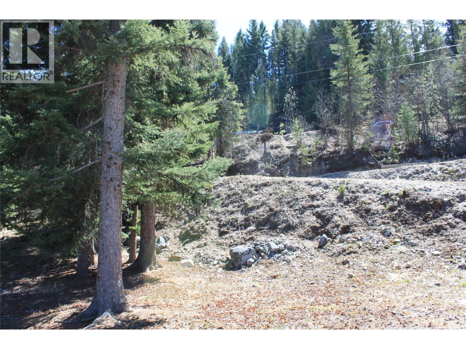 Lot B Dl4166 Link Lake Road, Princeton, British Columbia  V0X 1W0 - Photo 5 - 10372529