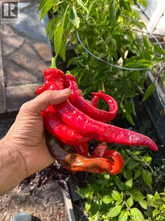 240 27 Avenue NW, Calgary, Alberta  T2M 2H4 - Photo 41 - A2303733