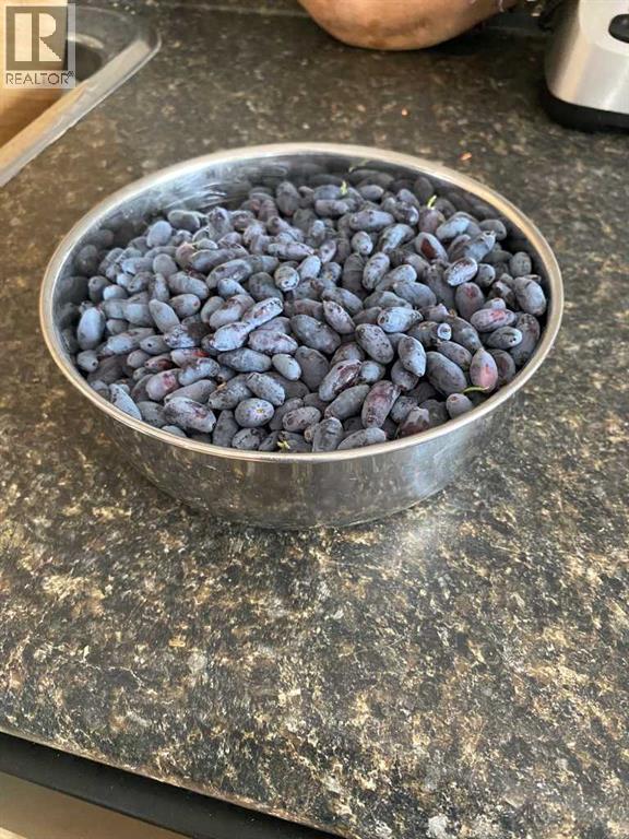 240 27 Avenue NW, Calgary, Alberta  T2M 2H4 - Photo 36 - A2303733