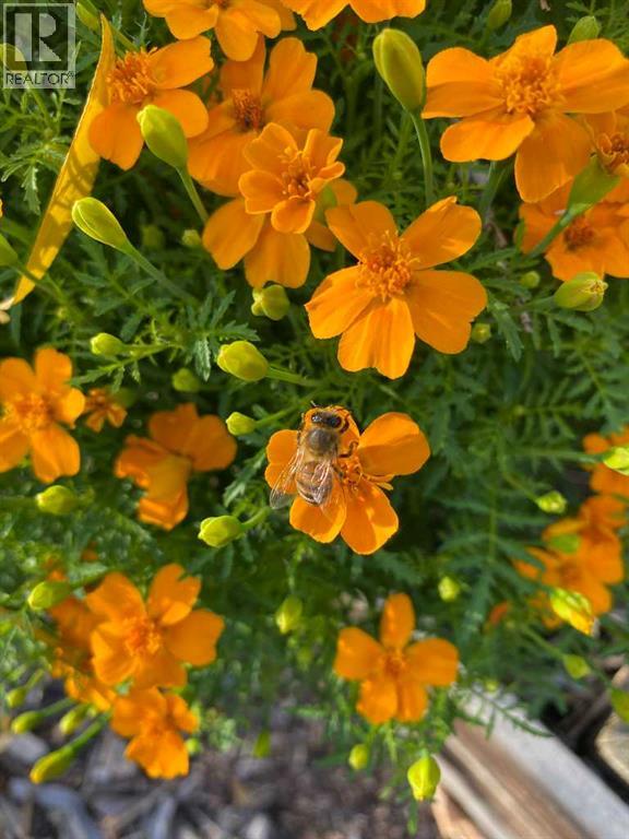 240 27 Avenue NW, Calgary, Alberta  T2M 2H4 - Photo 38 - A2303733