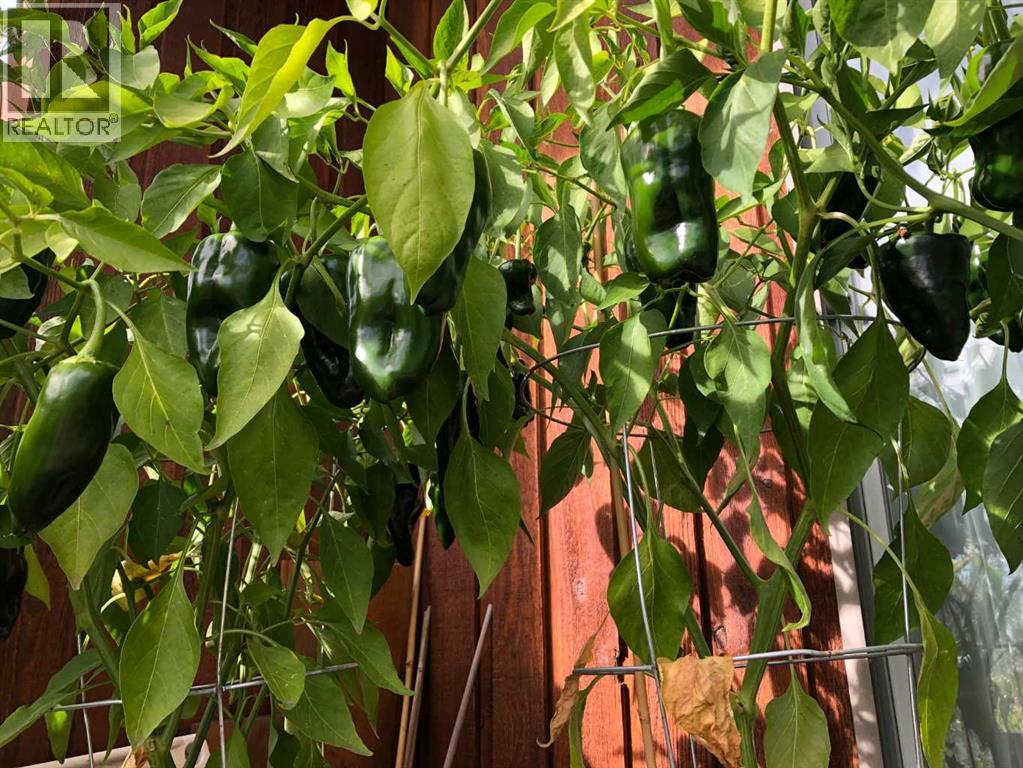 240 27 Avenue NW, Calgary, Alberta  T2M 2H4 - Photo 33 - A2303733