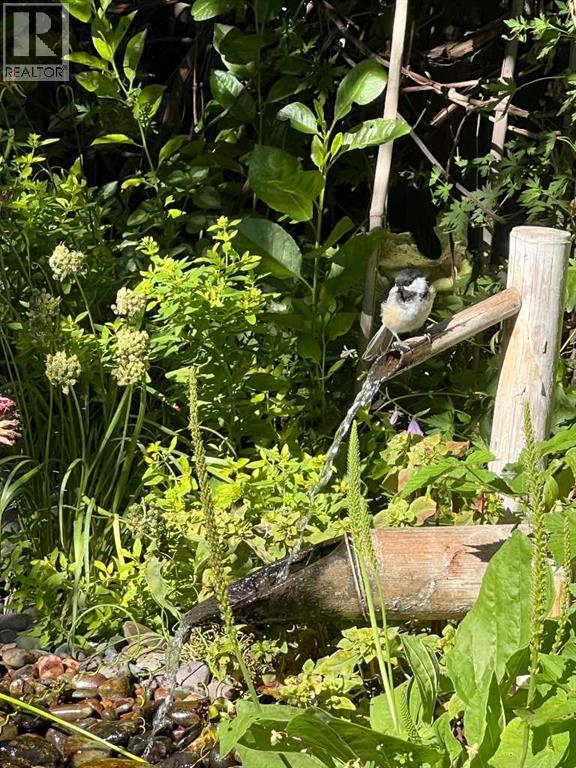 240 27 Avenue NW, Calgary, Alberta  T2M 2H4 - Photo 43 - A2303733