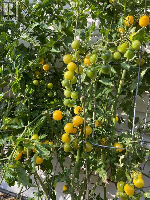 240 27 Avenue NW, Calgary, Alberta  T2M 2H4 - Photo 49 - A2303733