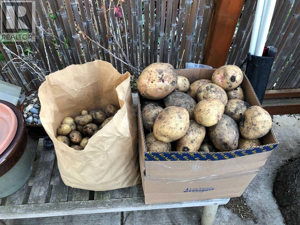 240 27 Avenue NW, Calgary, Alberta  T2M 2H4 - Photo 34 - A2303733