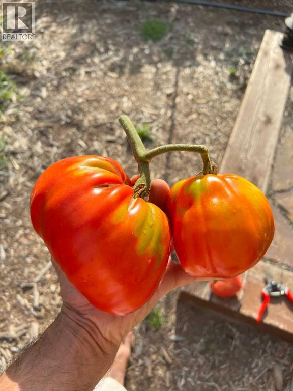 240 27 Avenue NW, Calgary, Alberta  T2M 2H4 - Photo 40 - A2303733