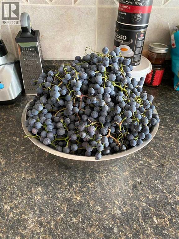 240 27 Avenue NW, Calgary, Alberta  T2M 2H4 - Photo 39 - A2303733