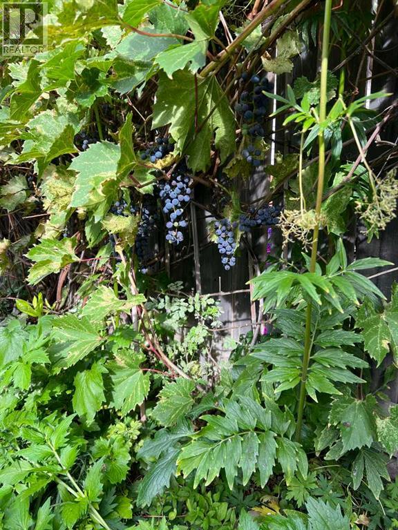 240 27 Avenue NW, Calgary, Alberta  T2M 2H4 - Photo 45 - A2303733