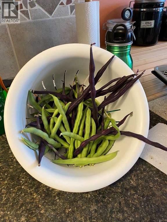 240 27 Avenue NW, Calgary, Alberta  T2M 2H4 - Photo 37 - A2303733