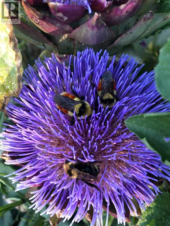 240 27 Avenue NW, Calgary, Alberta  T2M 2H4 - Photo 35 - A2303733