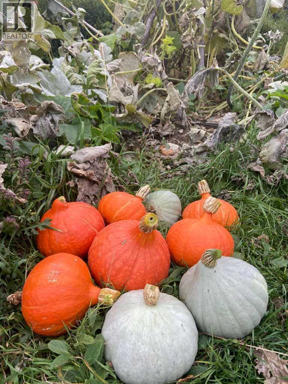 240 27 Avenue NW, Calgary, Alberta  T2M 2H4 - Photo 50 - A2303733