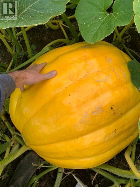 240 27 Avenue NW, Calgary, Alberta  T2M 2H4 - Photo 30 - A2303733