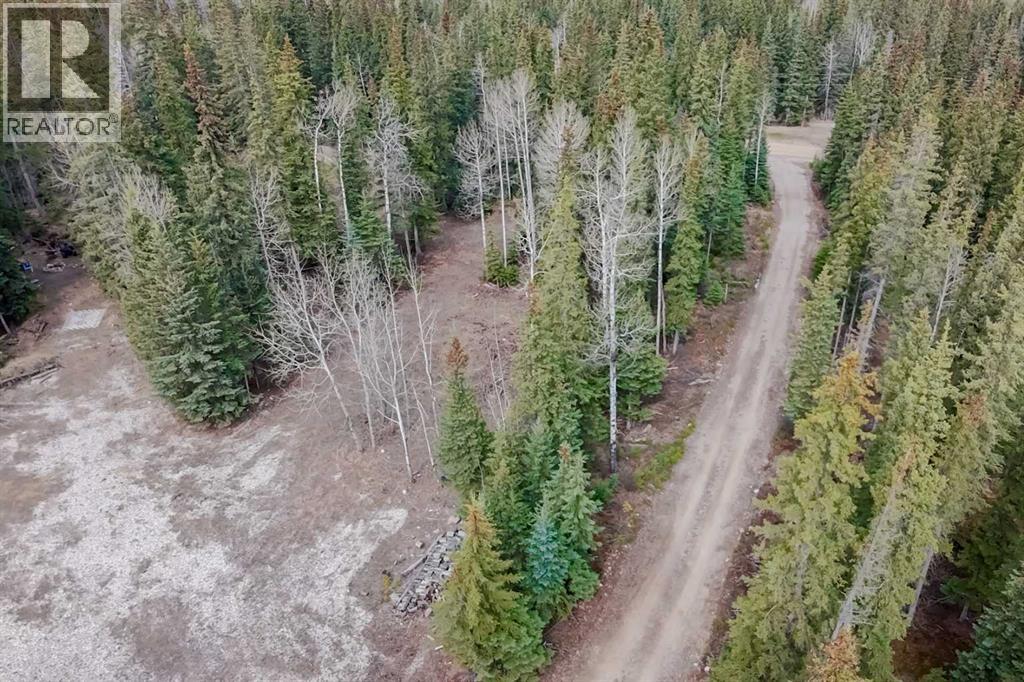 129 Moberly Drive, Hinton, Alberta  T7V 1Z1 - Photo 10 - A2305276