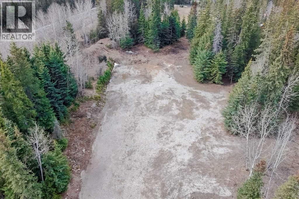 129 Moberly Drive, Hinton, Alberta  T7V 1Z1 - Photo 11 - A2305276