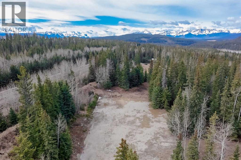 129 Moberly Drive, Hinton, Alberta  T7V 1Z1 - Photo 12 - A2305276