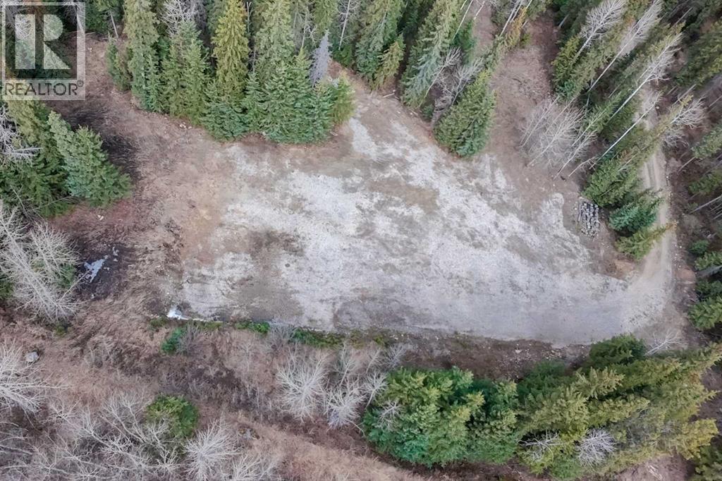 129 Moberly Drive, Hinton, Alberta  T7V 1Z1 - Photo 13 - A2305276