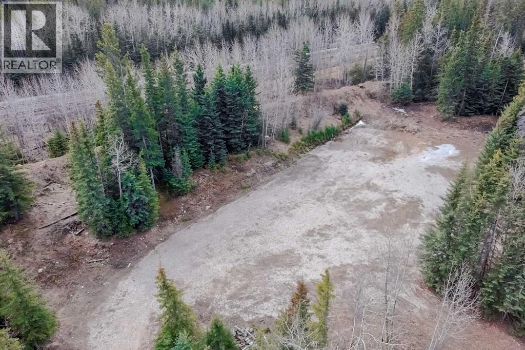 129 Moberly Drive, Hinton, Alberta  T7V 1Z1 - Photo 14 - A2305276