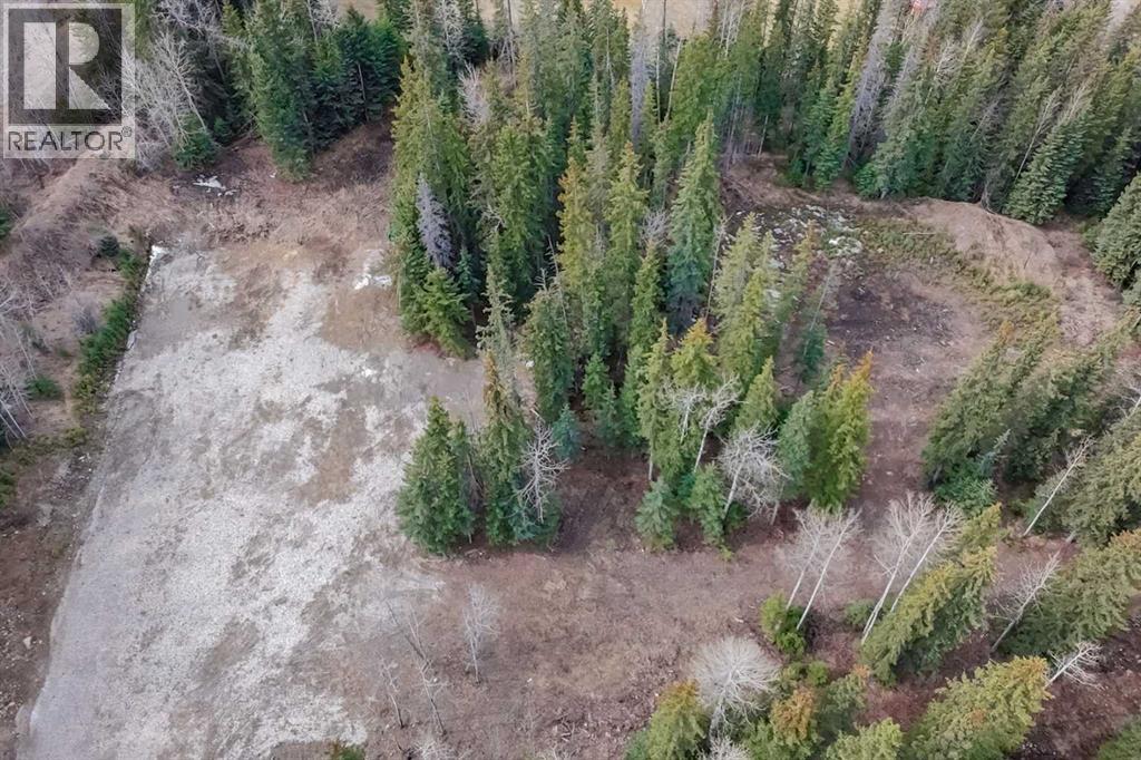 129 Moberly Drive, Hinton, Alberta  T7V 1Z1 - Photo 15 - A2305276