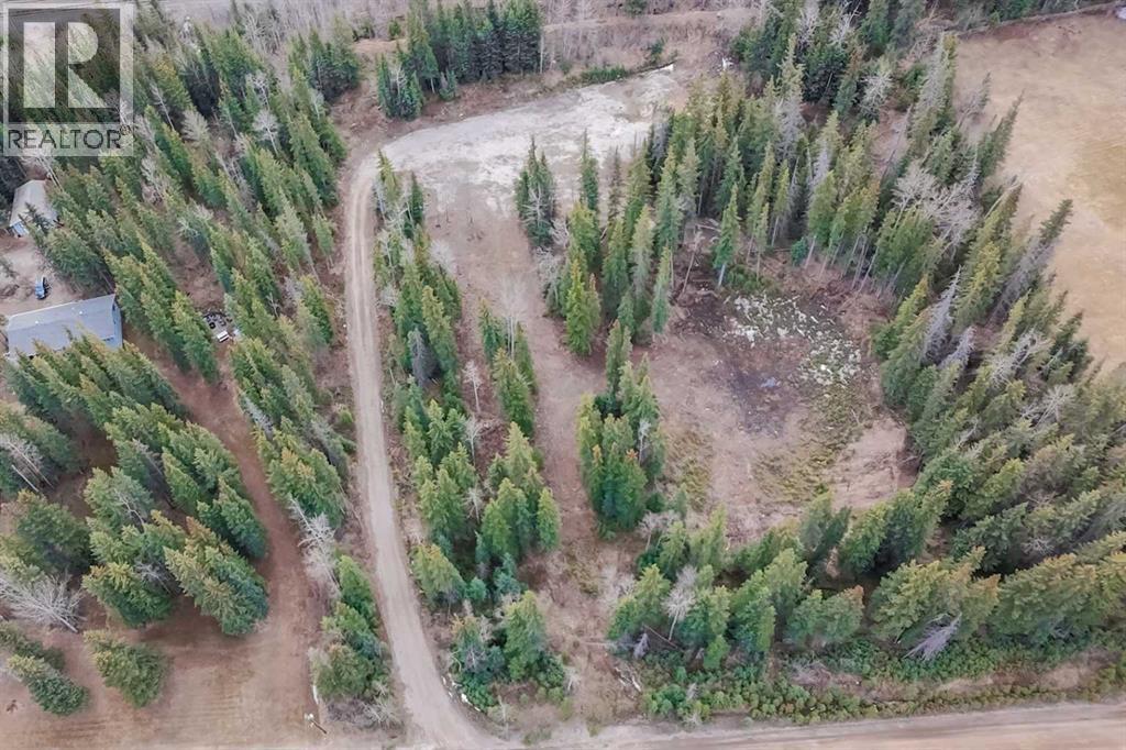 129 Moberly Drive, Hinton, Alberta  T7V 1Z1 - Photo 18 - A2305276