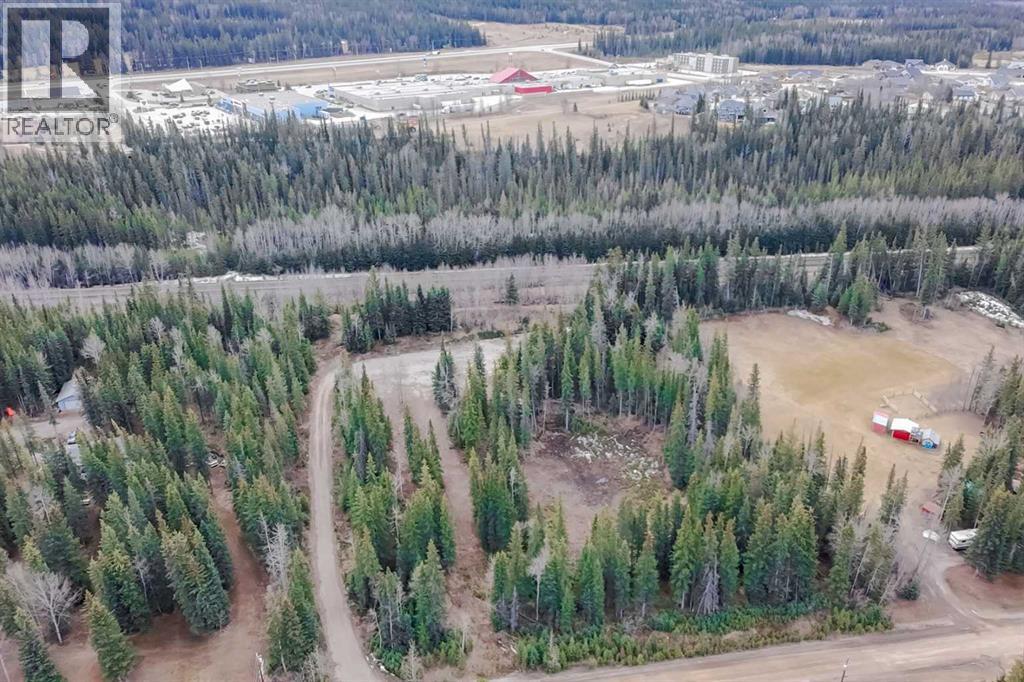 129 Moberly Drive, Hinton, Alberta  T7V 1Z1 - Photo 19 - A2305276