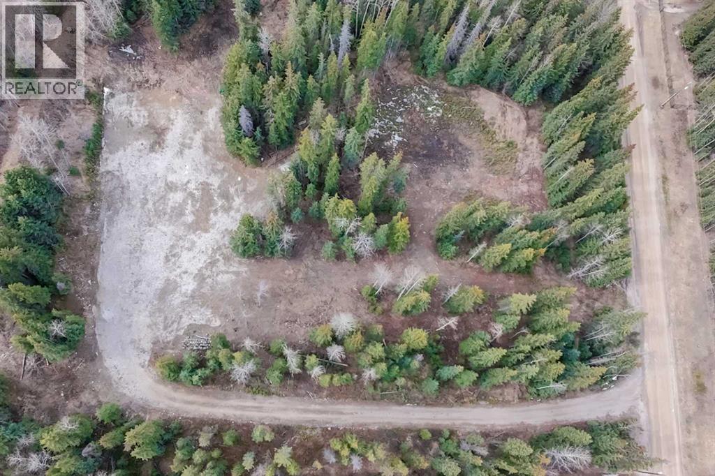 129 Moberly Drive, Hinton, Alberta  T7V 1Z1 - Photo 2 - A2305276