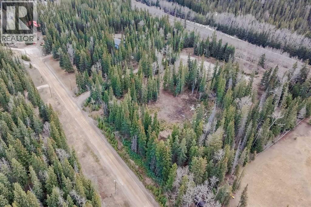 129 Moberly Drive, Hinton, Alberta  T7V 1Z1 - Photo 21 - A2305276