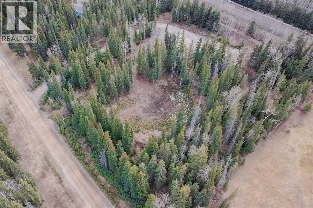 129 Moberly Drive, Hinton, Alberta  T7V 1Z1 - Photo 22 - A2305276