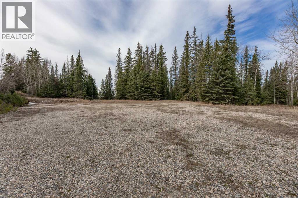 129 Moberly Drive, Hinton, Alberta  T7V 1Z1 - Photo 3 - A2305276