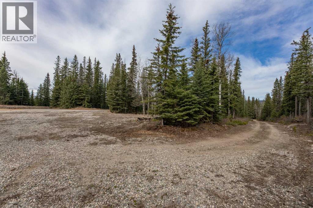 129 Moberly Drive, Hinton, Alberta  T7V 1Z1 - Photo 4 - A2305276