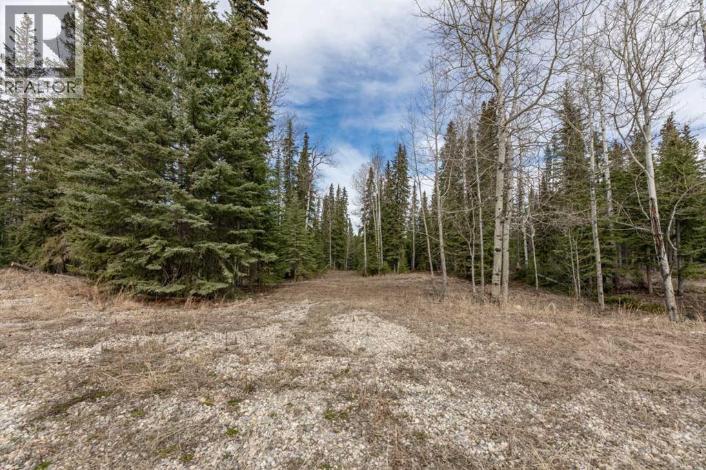 129 Moberly Drive, Hinton, Alberta  T7V 1Z1 - Photo 5 - A2305276