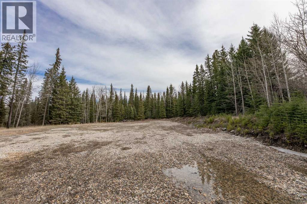 129 Moberly Drive, Hinton, Alberta  T7V 1Z1 - Photo 6 - A2305276